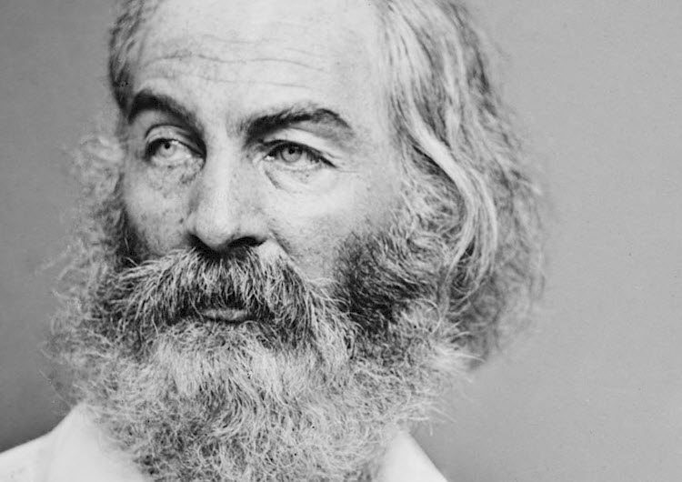 CLASS NOTES: Walt Whitman and the City (Poetry in America: Whitman)